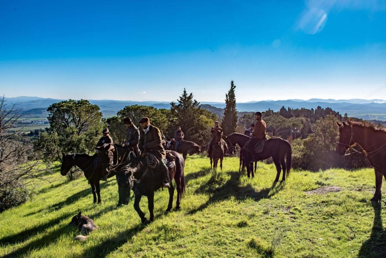 Essenziale Bed & Breakfast Castell'Anselmo ภายนอก รูปภาพ